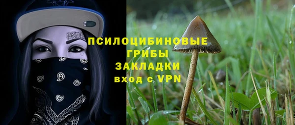 твердый Зеленодольск