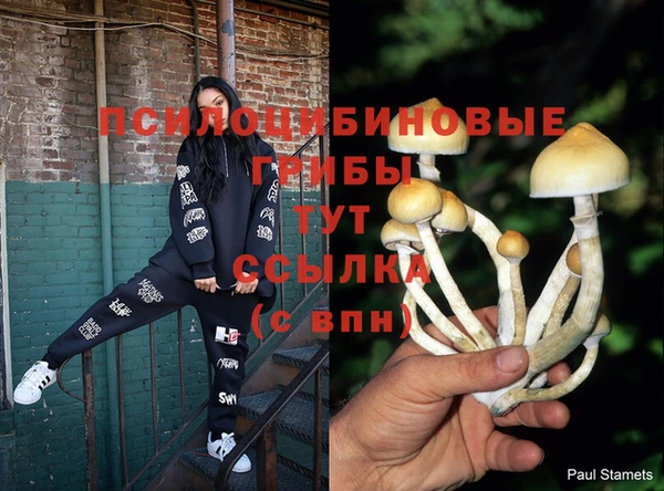 не бодяженный Зеленокумск
